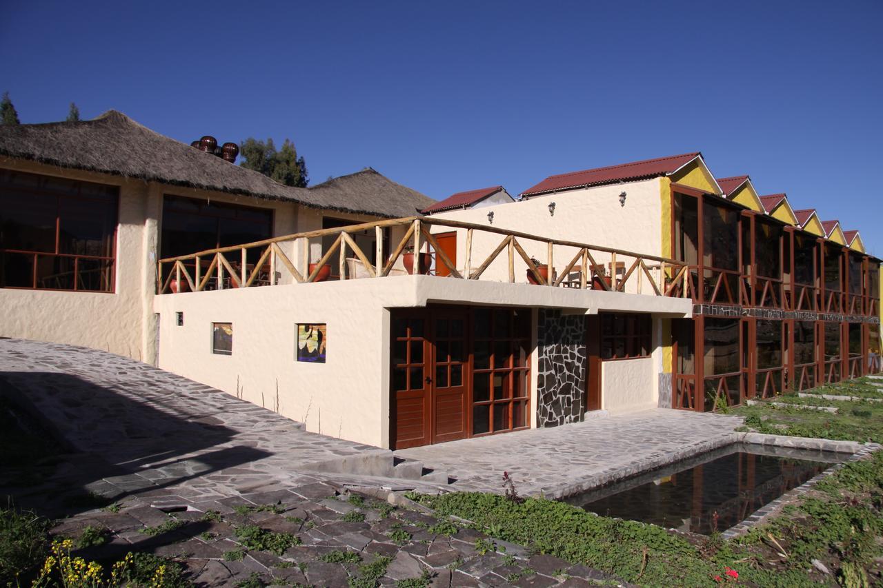 Colca Trek Lodge Best Experience Пинчольо Номер фото